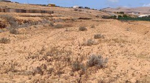 Photo 2 of Land for sale in Paraje Almacigo, Tefía - Tetir, Puerto del Rosario