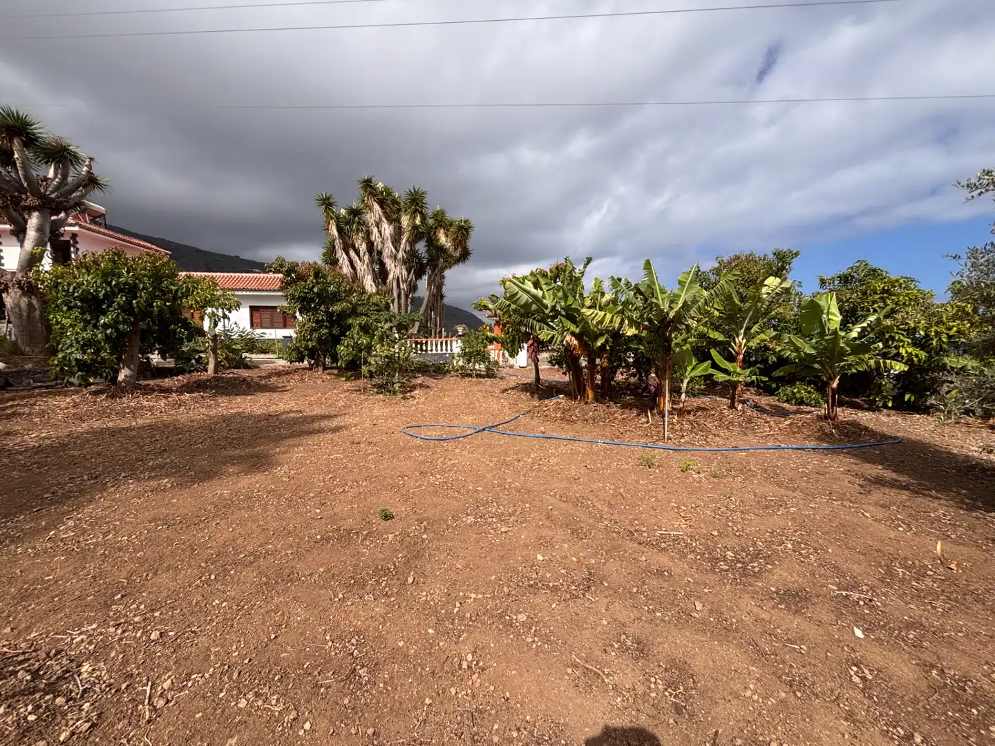 Casa o xalet en venda en Icod de los Vinos amb Jardí privat, Terrassa i Traster