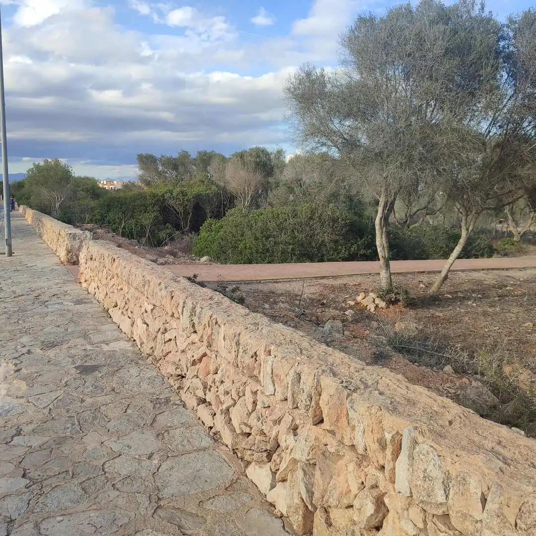 Terreny residencial en venda a Avinguda Regne de Mallorques 8, imagen 14