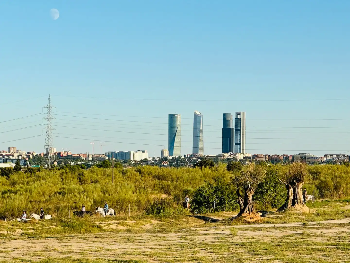 Vista exterior de Terreno en venta en Madrid
