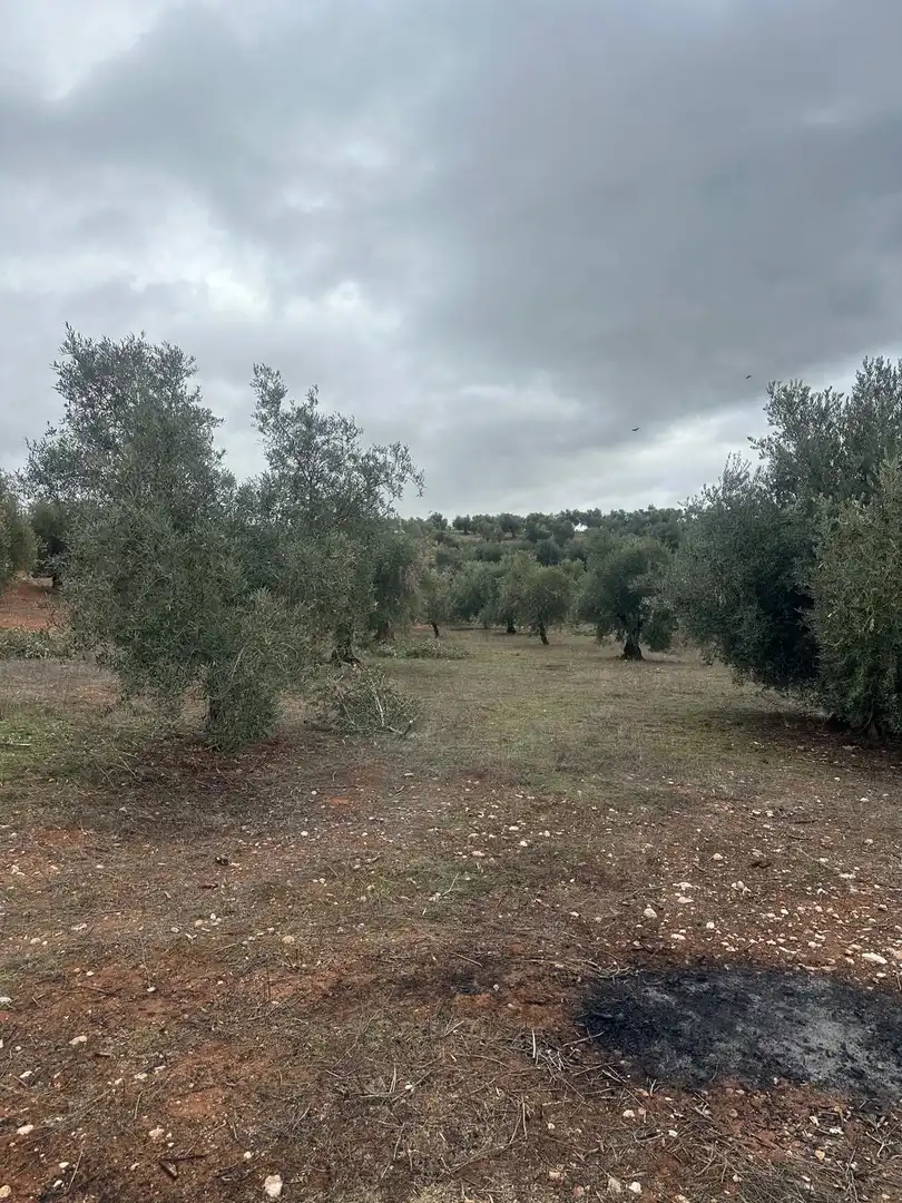 Terreni e lotti in vendita a Cogollos de la Vega, imagen 3