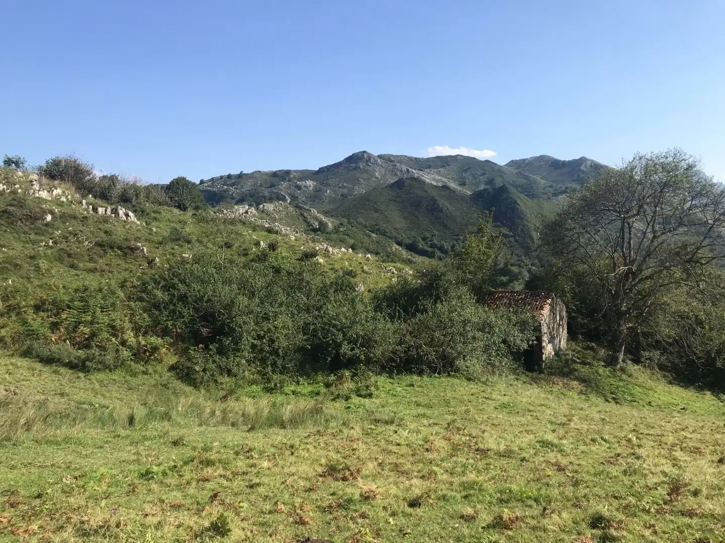 Terreno rustico in vendita a Cangas de Onís, imagen 5