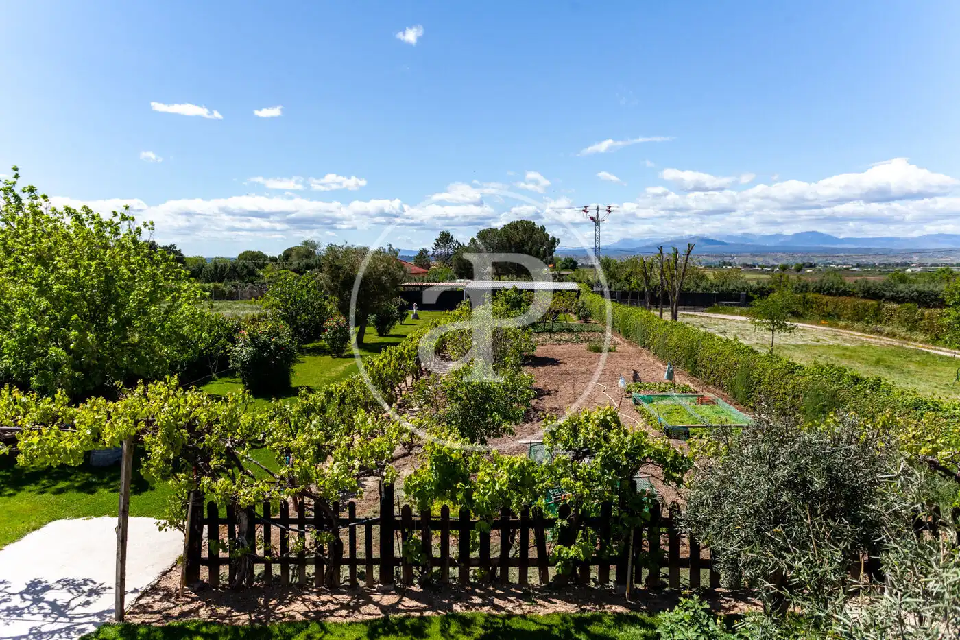 Jardí de Casa o xalet en venda en Fuente El Saz de Jarama amb Calefacció, Jardí privat i Terrassa