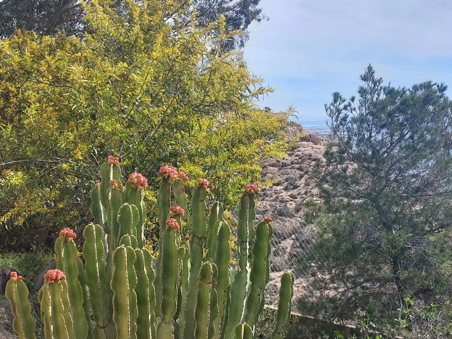 Jardín de Casa o chalet en venta en Enix con Aire acondicionado, Calefacción y Jardín privado