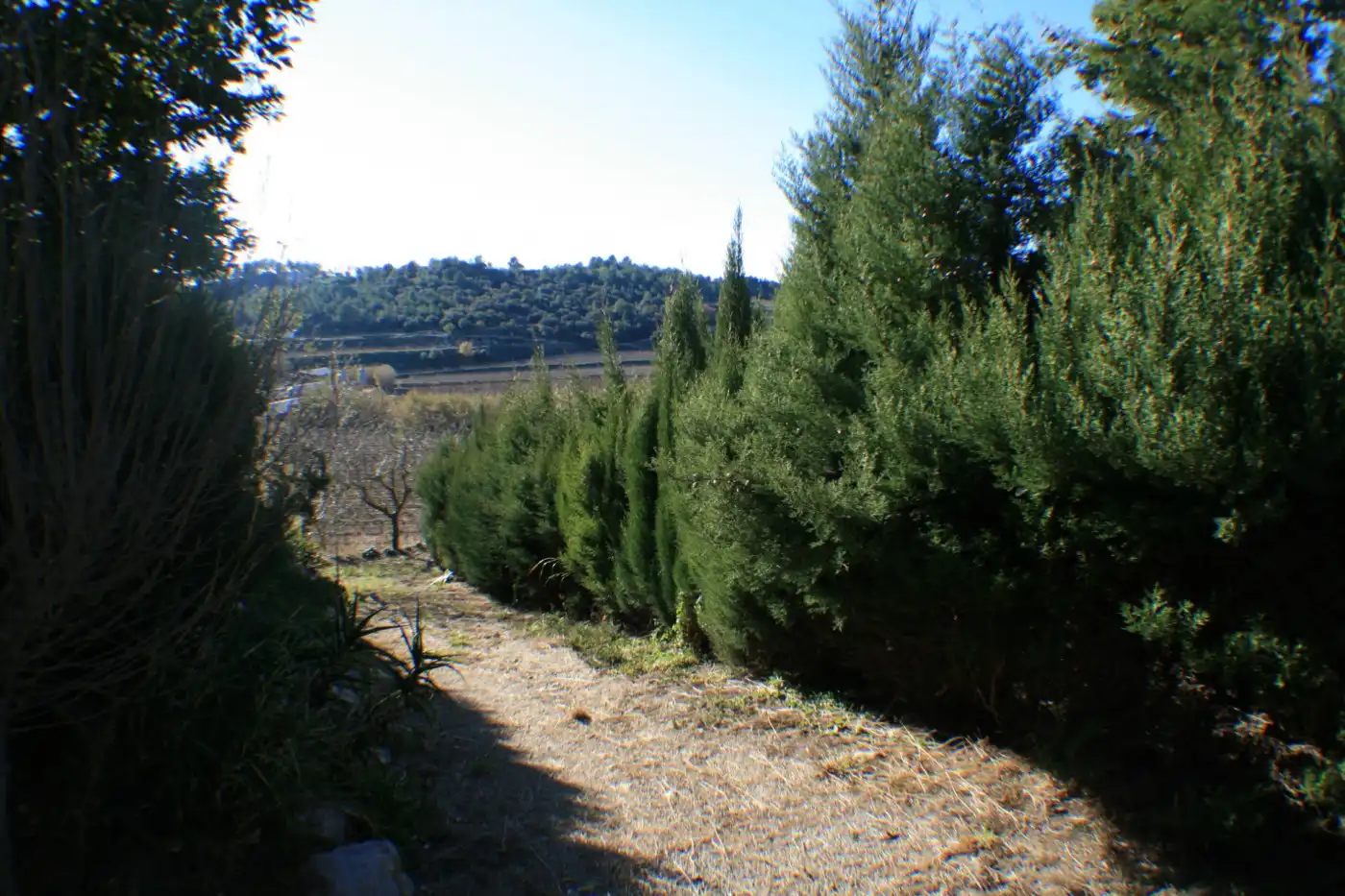 Haus zum Verkauf in Vilobí del Penedès, imagen 36