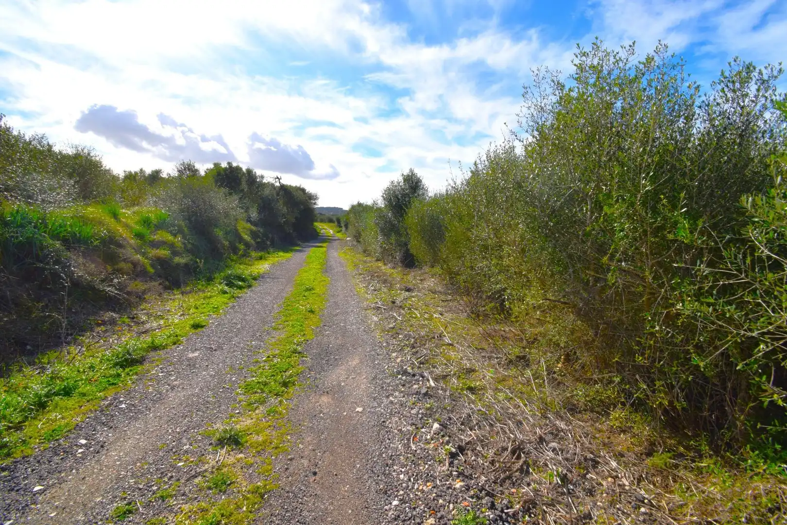 Residential land for sale in Muro, imagen 5
