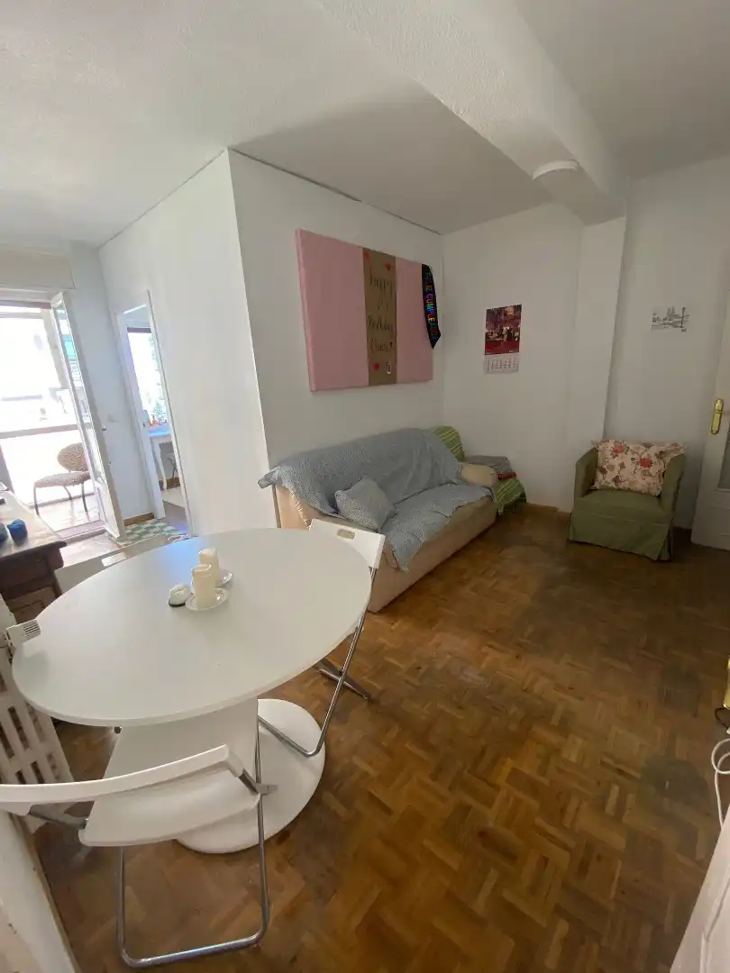 Wohnzimmer von Wohnung zur Miete in Madrid mit Heizung, Parkett und Möbliert