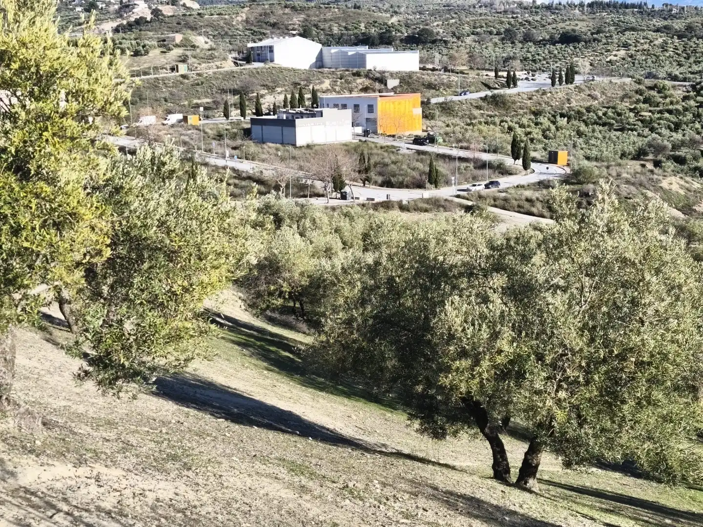 Lands and plots for sale in Alfacar, imagen 18