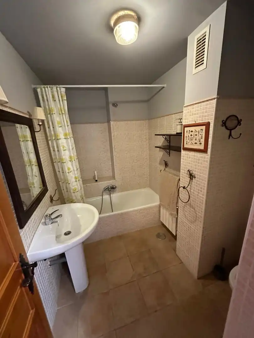 Ático con jardín en venta en Avenida Emiliano Alonso Sanchez - Lombas 46A, imagen 6