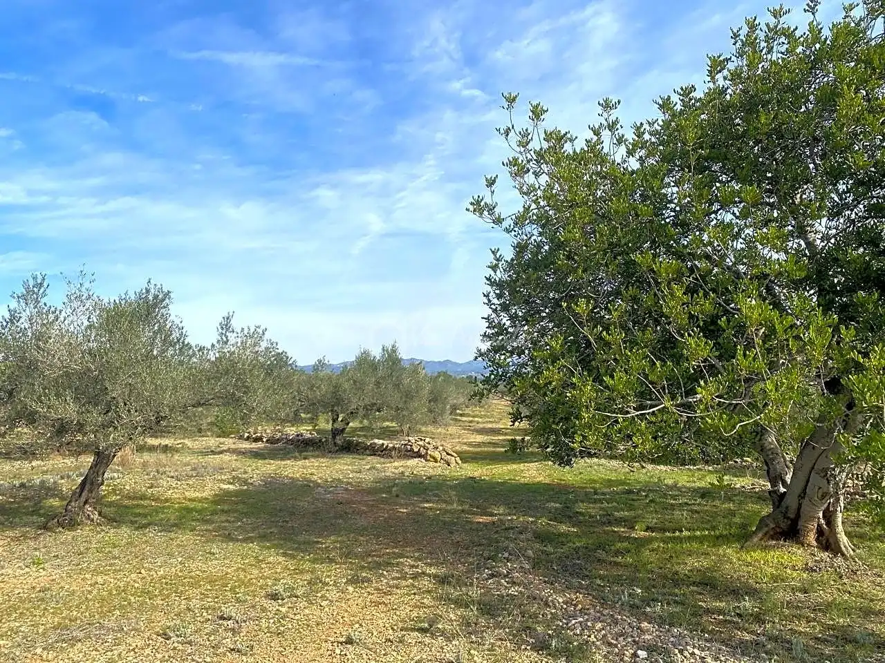 Terreno rustico in vendita a Planas, imagen 11