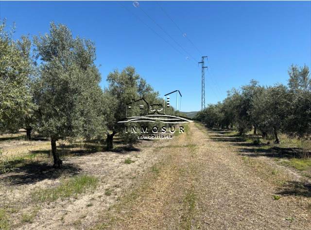 Terreno en Venta en Úbeda
