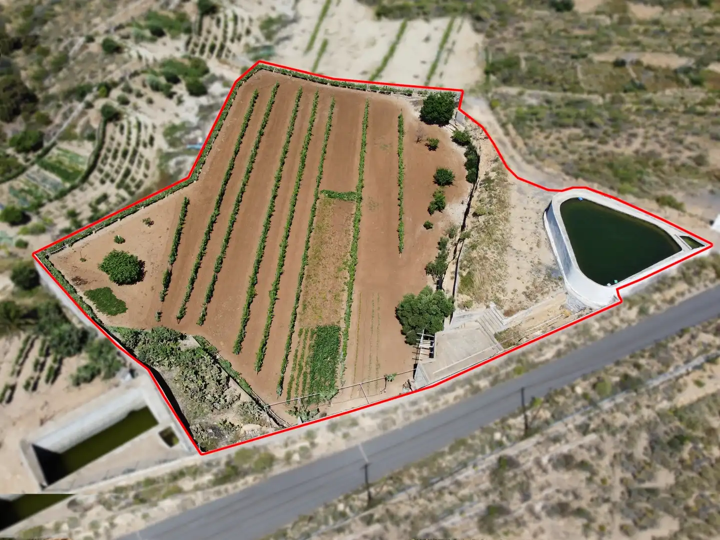 Terreno rustico in vendita a N/A, imagen 4