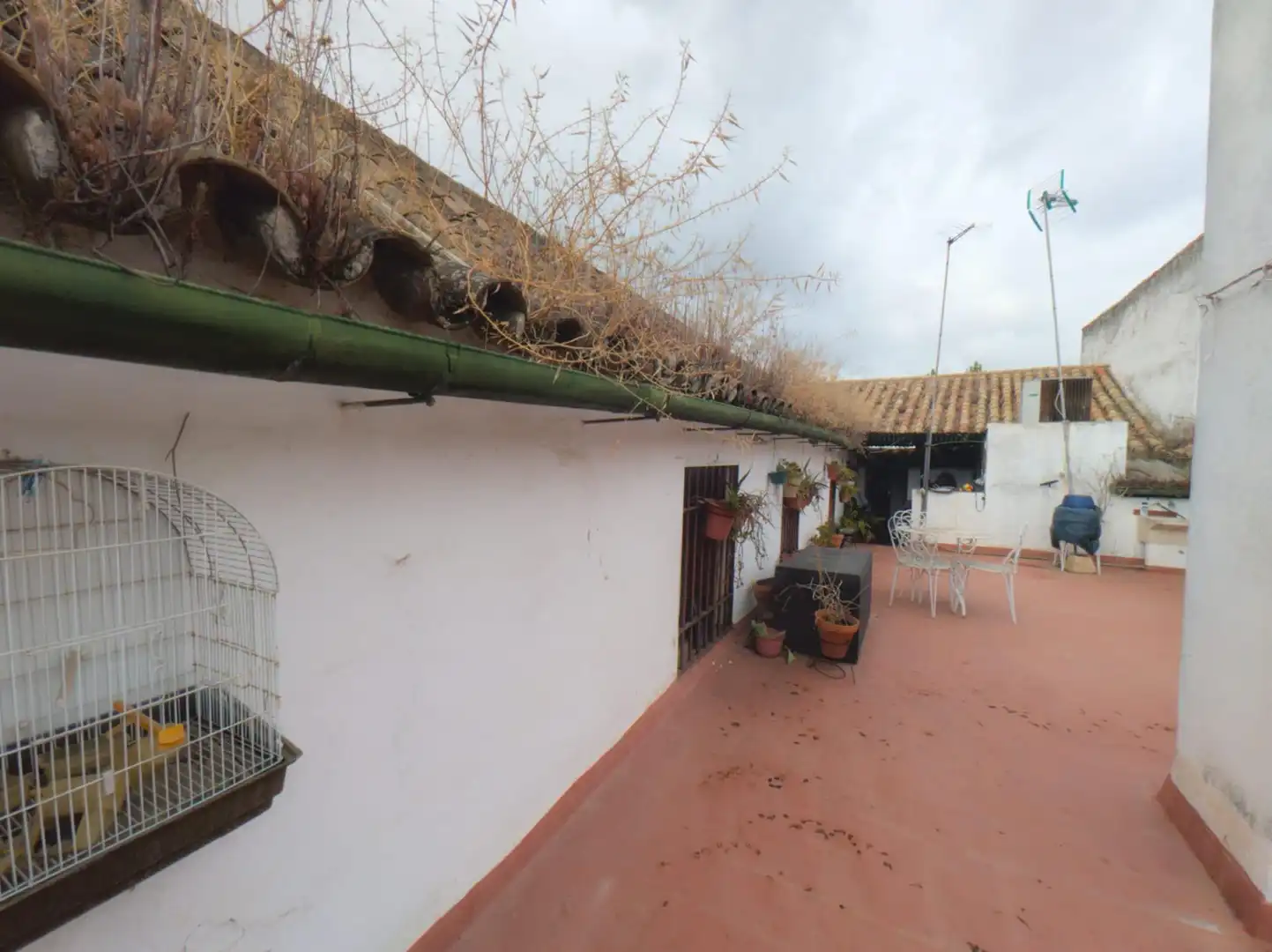 Vista exterior de Casa o xalet en venda en Córdoba