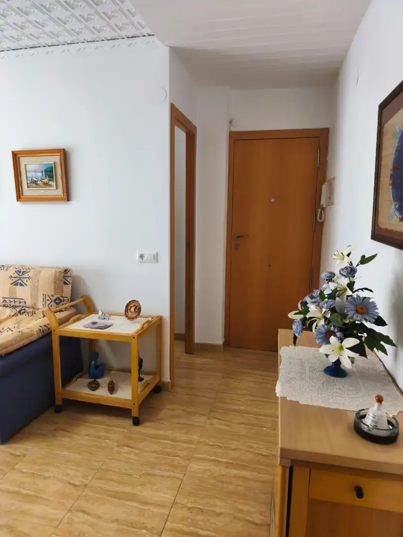 Wohnungen zur Miete in Gandia mit Möbliert, Ofen und Waschmaschine