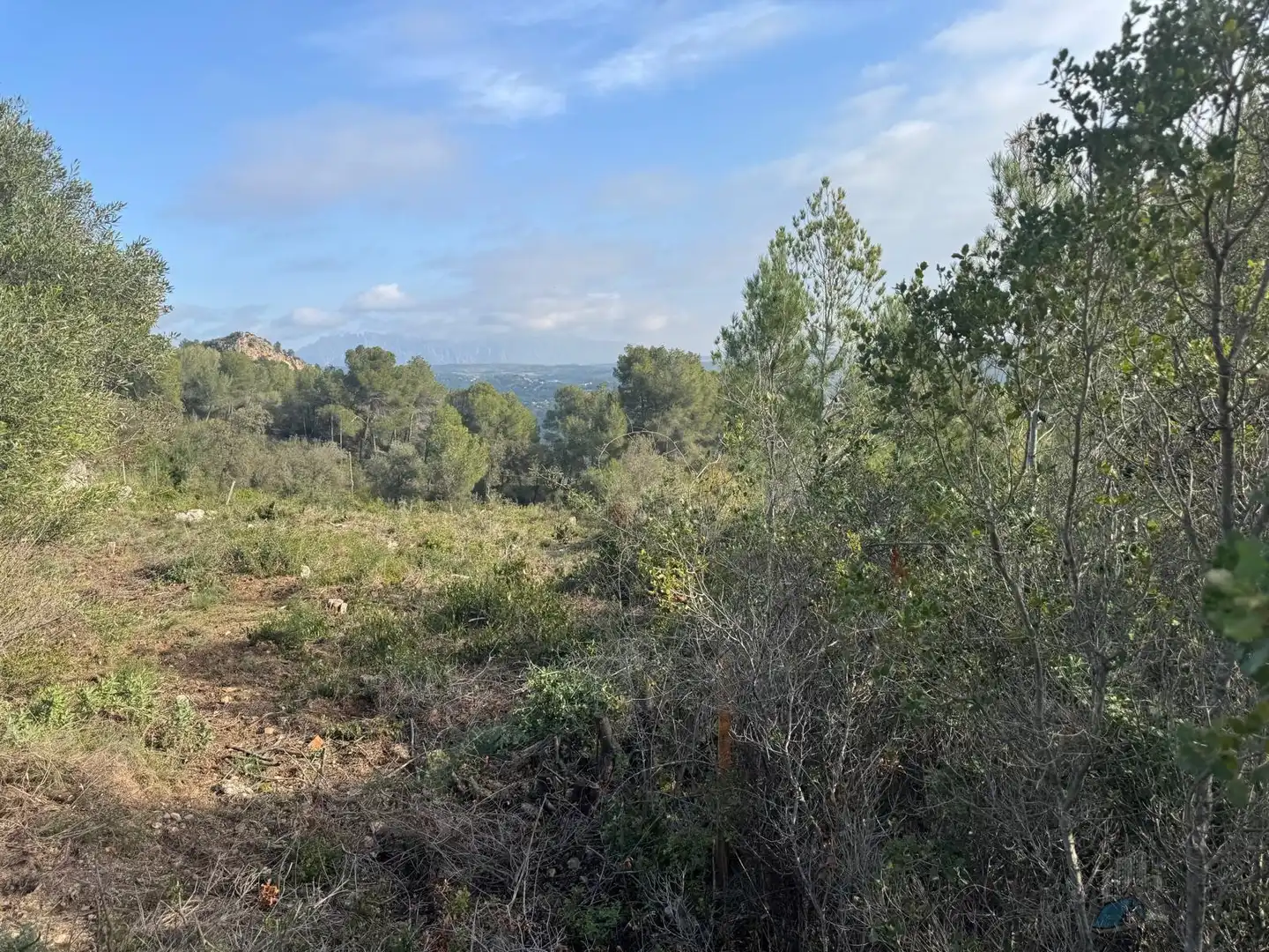 Grundstücke und Bauplätze zum Verkauf in Cabrera d'Anoia, imagen 10