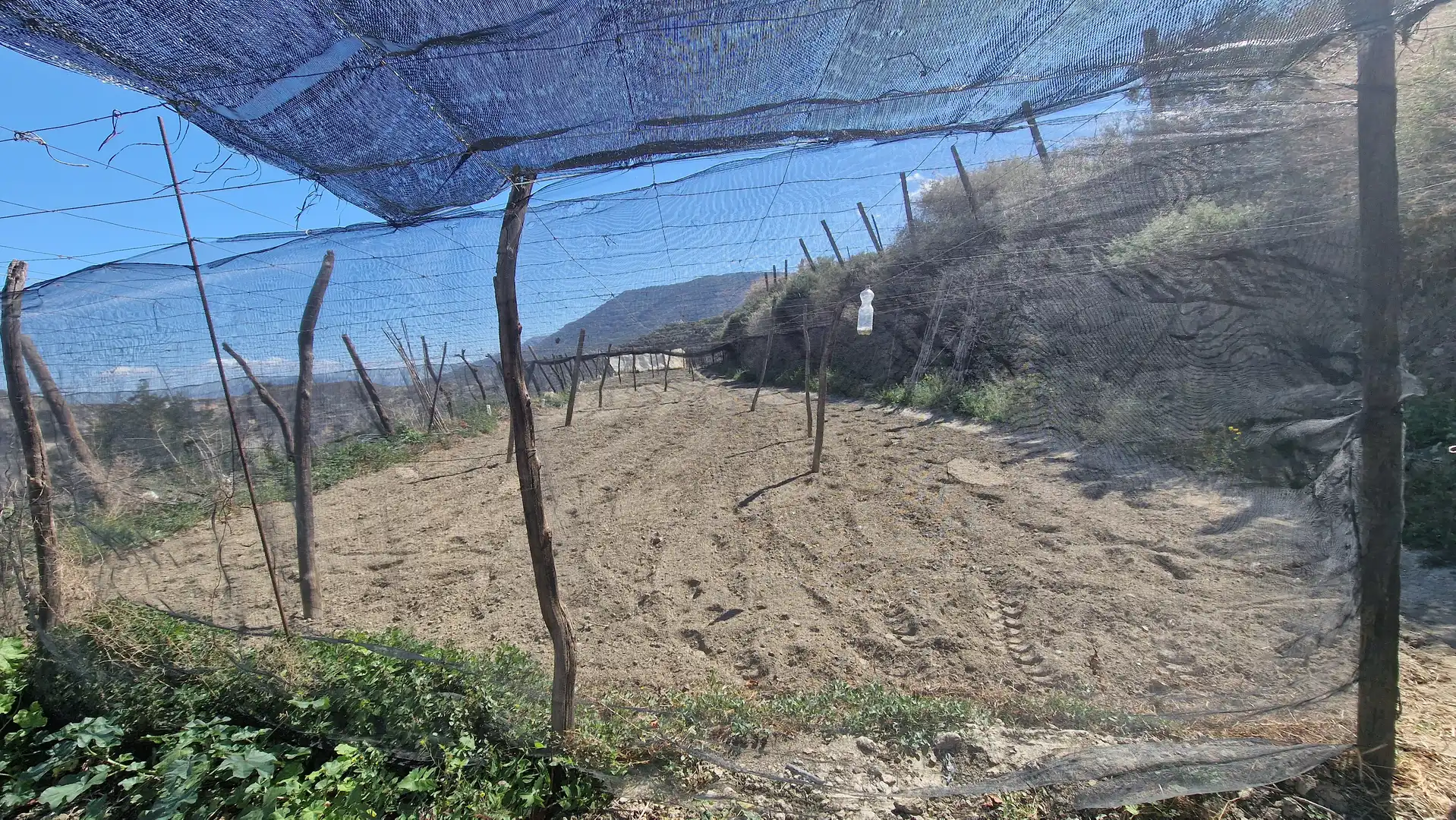 Finca rústica en venda en Canjáyar amb Jardí privat, Terrassa i Traster