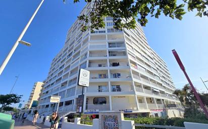 Exterior view of Apartment to rent in Gandia  with Terrace, Furnished and Community pool