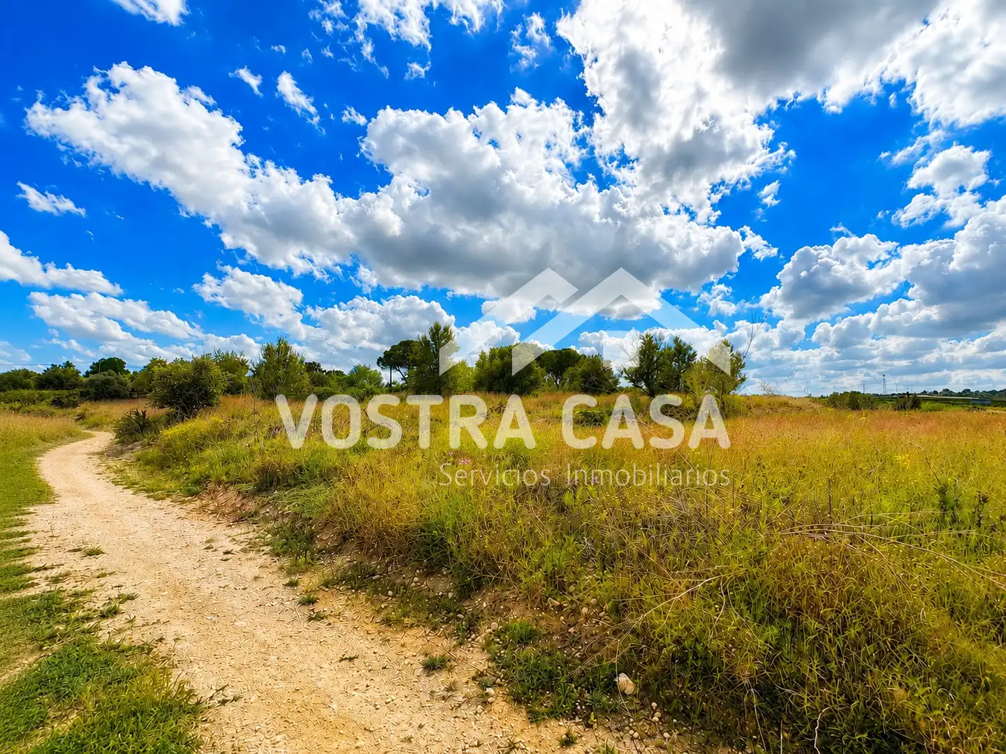 Terreny rústic en venda a CAÑADA DE JACINTO, imagen 3