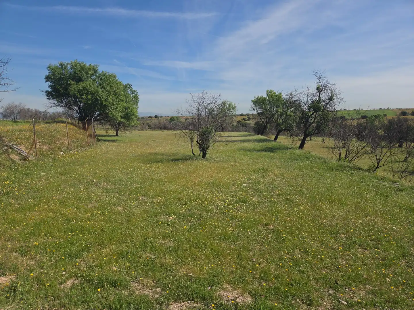 Finca rústica en venta en Navalcarnero