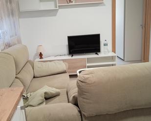 Living room of Flat to rent in Málaga Capital  with Air Conditioner, Heating and Furnished