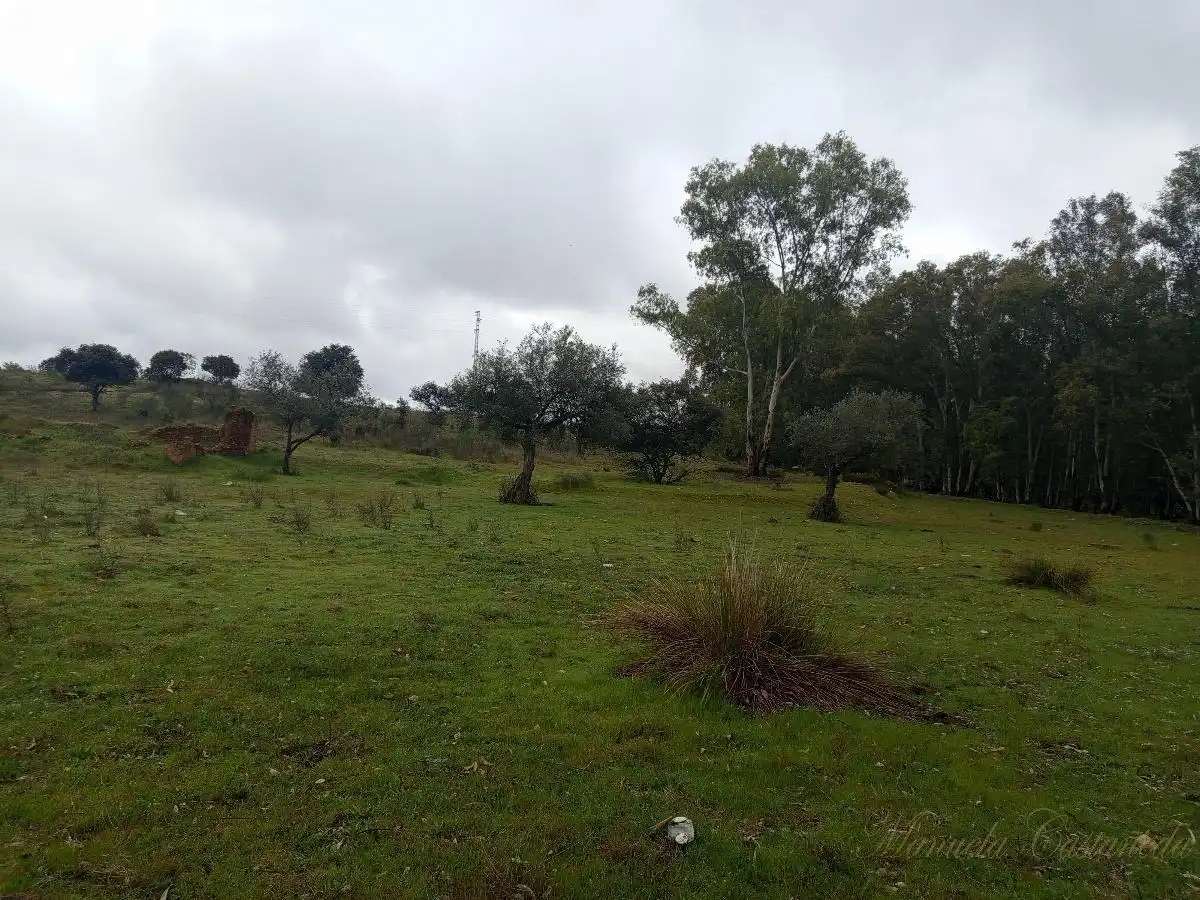 Finca rústica en venda a Oeste