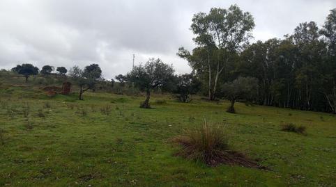 Photo 4 of Country house for sale in Oeste, Badajoz