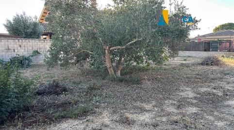 Photo 4 of Land for sale in Cuatro Pinos - El Carmen, Cádiz
