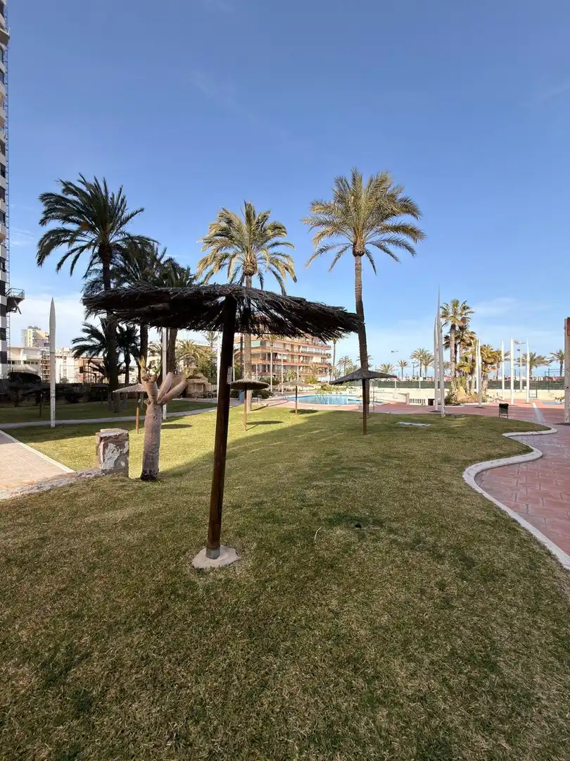 Swimming pool of Flat for rent in Alicante / Alacant  with Air Conditioner, Private garden and Terrace