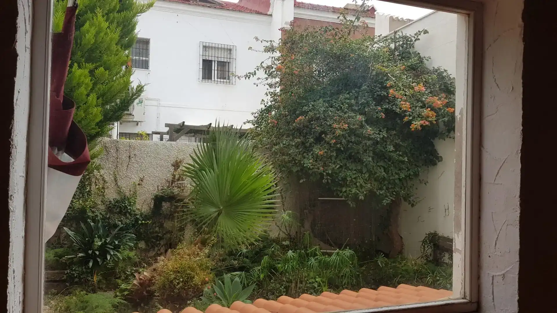 Jardí de Dúplex en venda en Cartagena amb Balcó