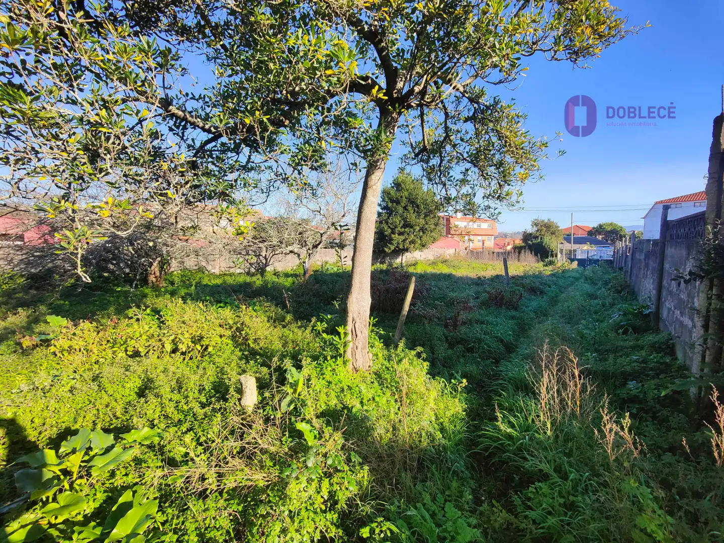 Terreno residencial en venta en Rúa Da Carrasqueira, imagen 4