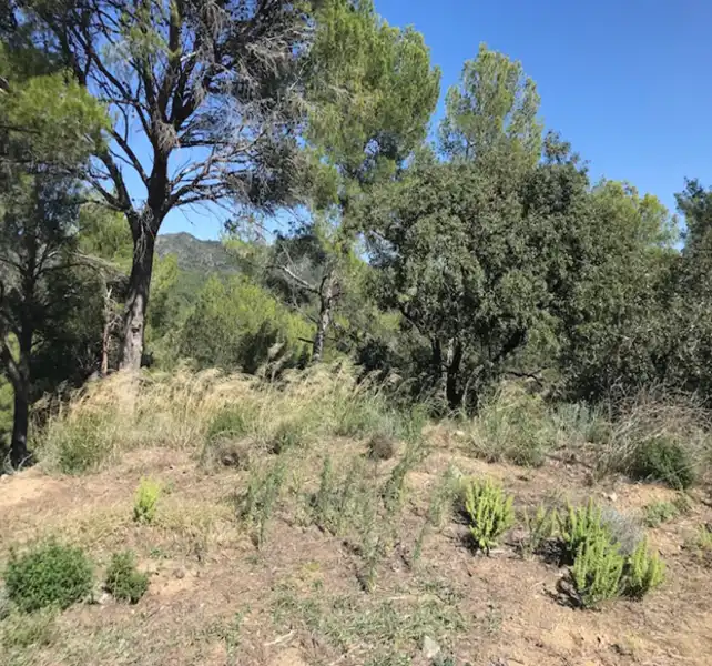 Terreno residenziale in vendita a Travadells, imagen 3