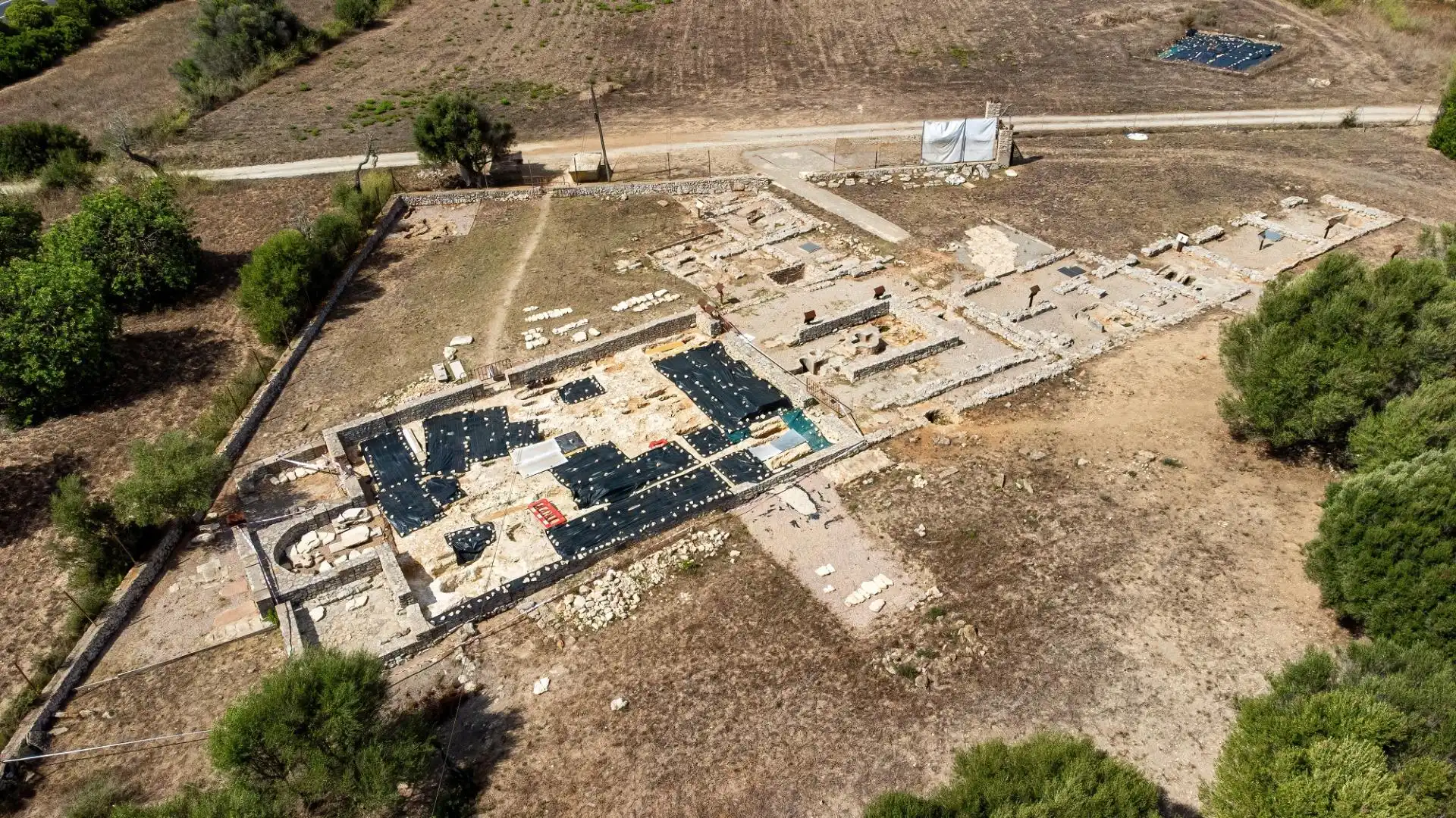 Terreno rústico a 10 del centro de Manacor y 15 de la playa, imatge 3