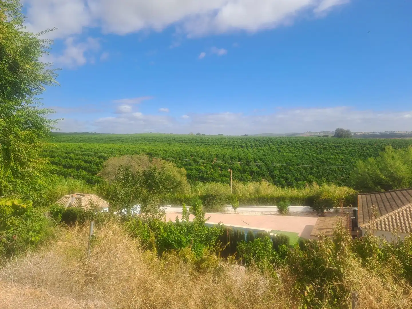 Vista exterior de Casa o xalet en venda en Cantillana amb Aire condicionat, Calefacció i Jardí privat