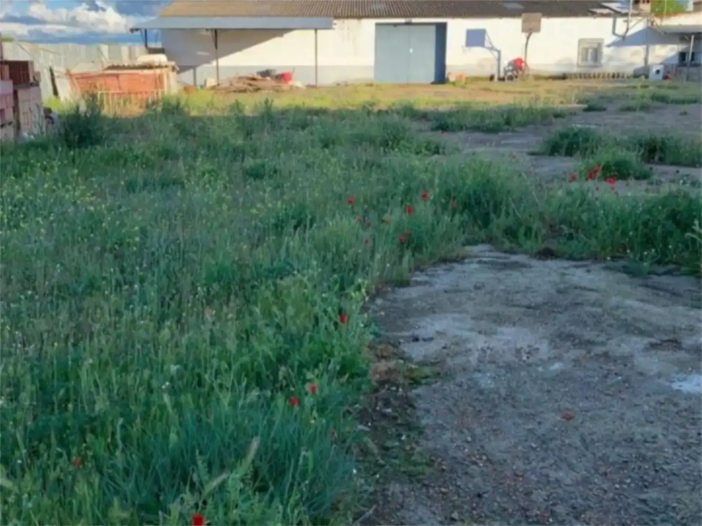 Casa o xalet en venda en Calzada de Calatrava amb Piscina i Balcó