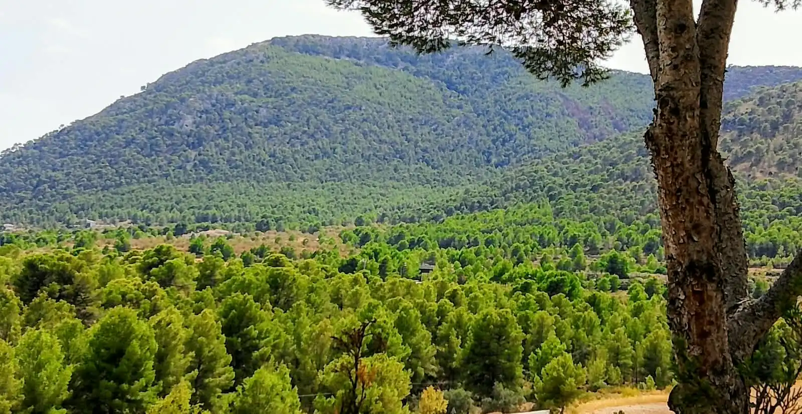 Chalet con terraza en venta en Urbanización Pinares del Mecli Izqd, imagen 19