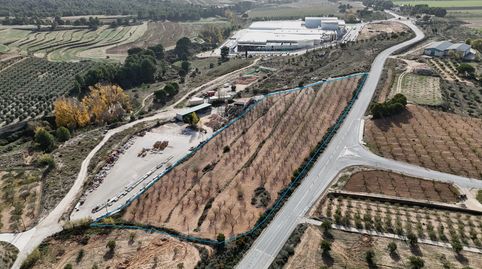 Oportunidad de terreno en Ibi con 15.000 m² a un paso del pueblo