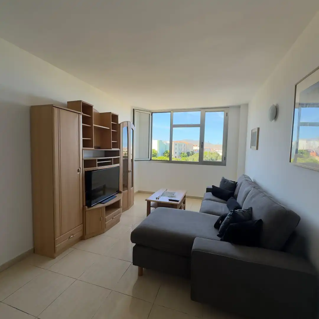 Living room of Flat for rent in Santa Lucía de Tirajana  with Storage room and Furnished