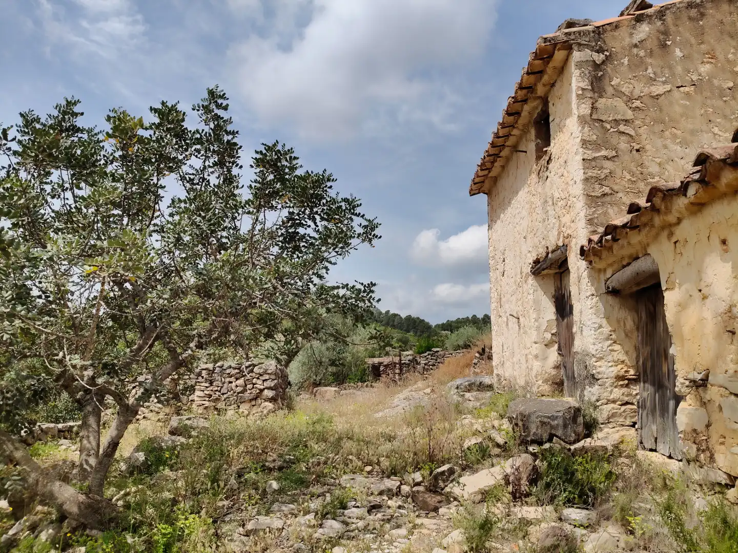 Exterior view of Houses for sale in Culla  with Private garden