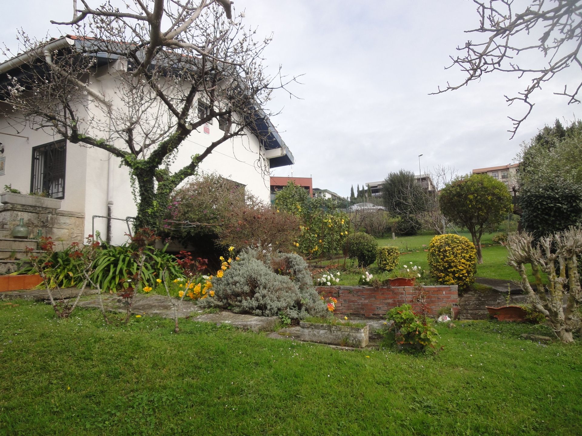 Jardí de Casa o xalet en venda en Sopelana amb Jardí privat i Moblat