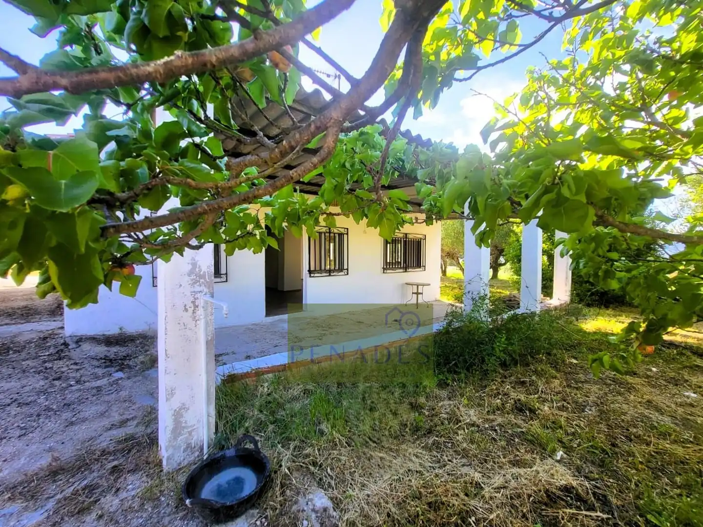 Vista exterior de Casa o chalet en venta en Ontinyent con Jardín privado