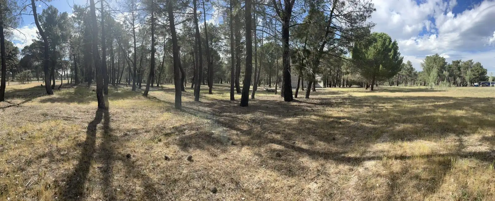 Country homes for sale in Viana de Cega  with Private garden and Swimming Pool