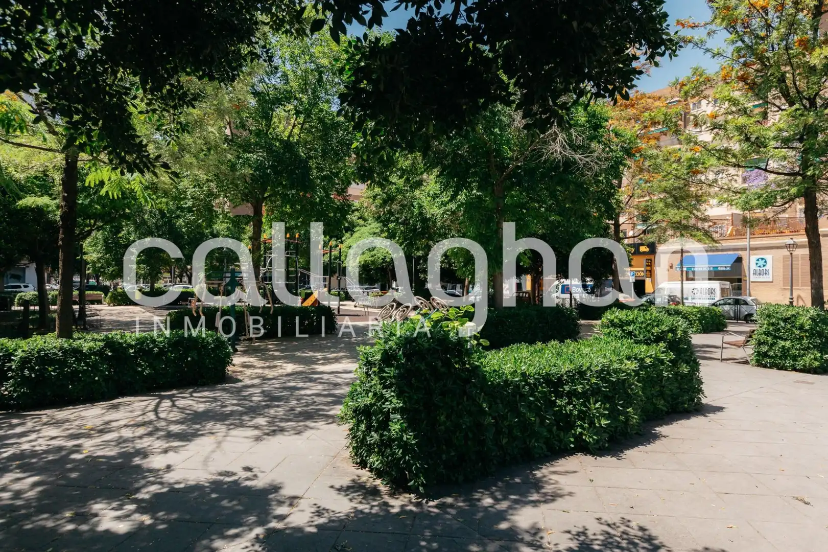 Local en venta en Calle LEOPOLDO PILES ROS, Vara de Quart