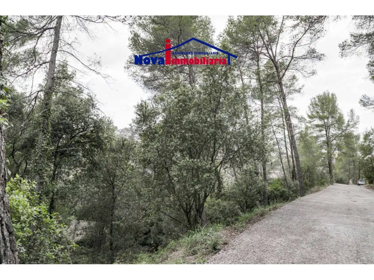 Rural land for sale in Calle Socies 20, imagen 6