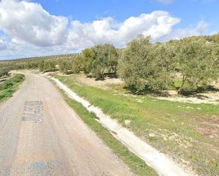 Land for sale in Sabiote