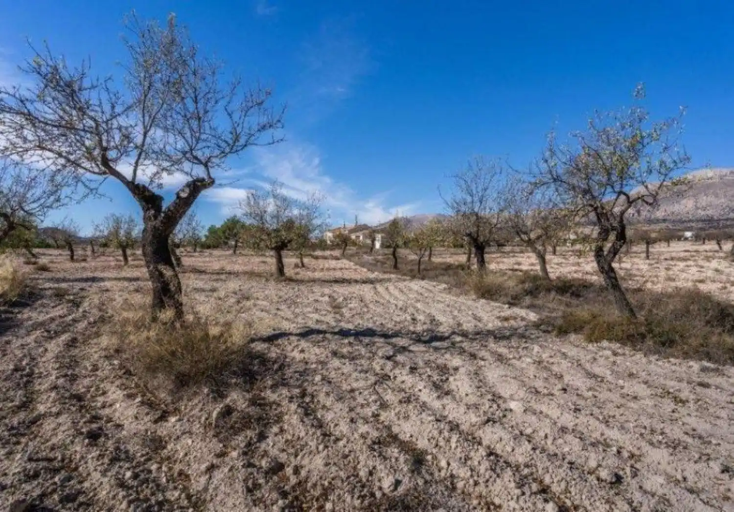 Finca rústica en venta en Vélez-Rubio con Calefacción, Jardín privado y Trastero