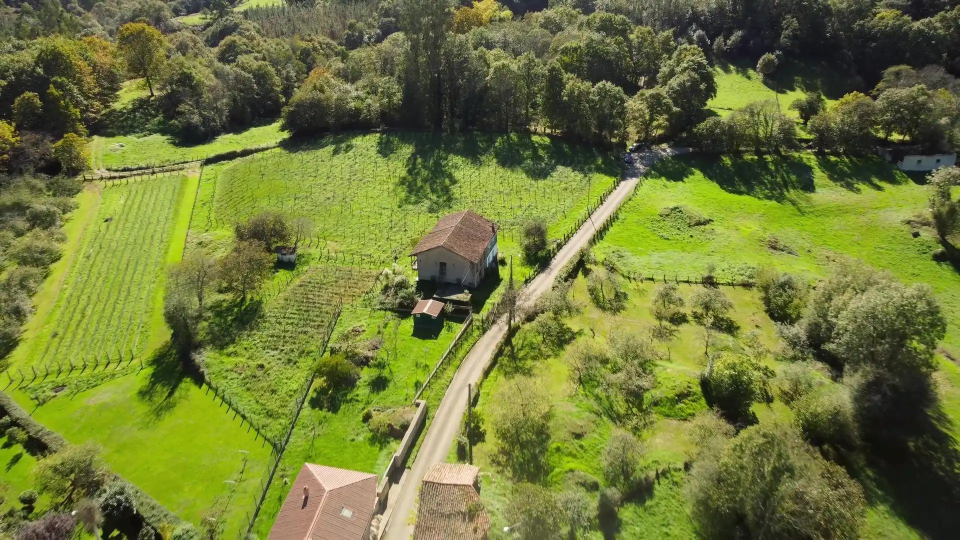 Terreny residencial en venda a Lugar ALDEA CESA 201, imagen 7
