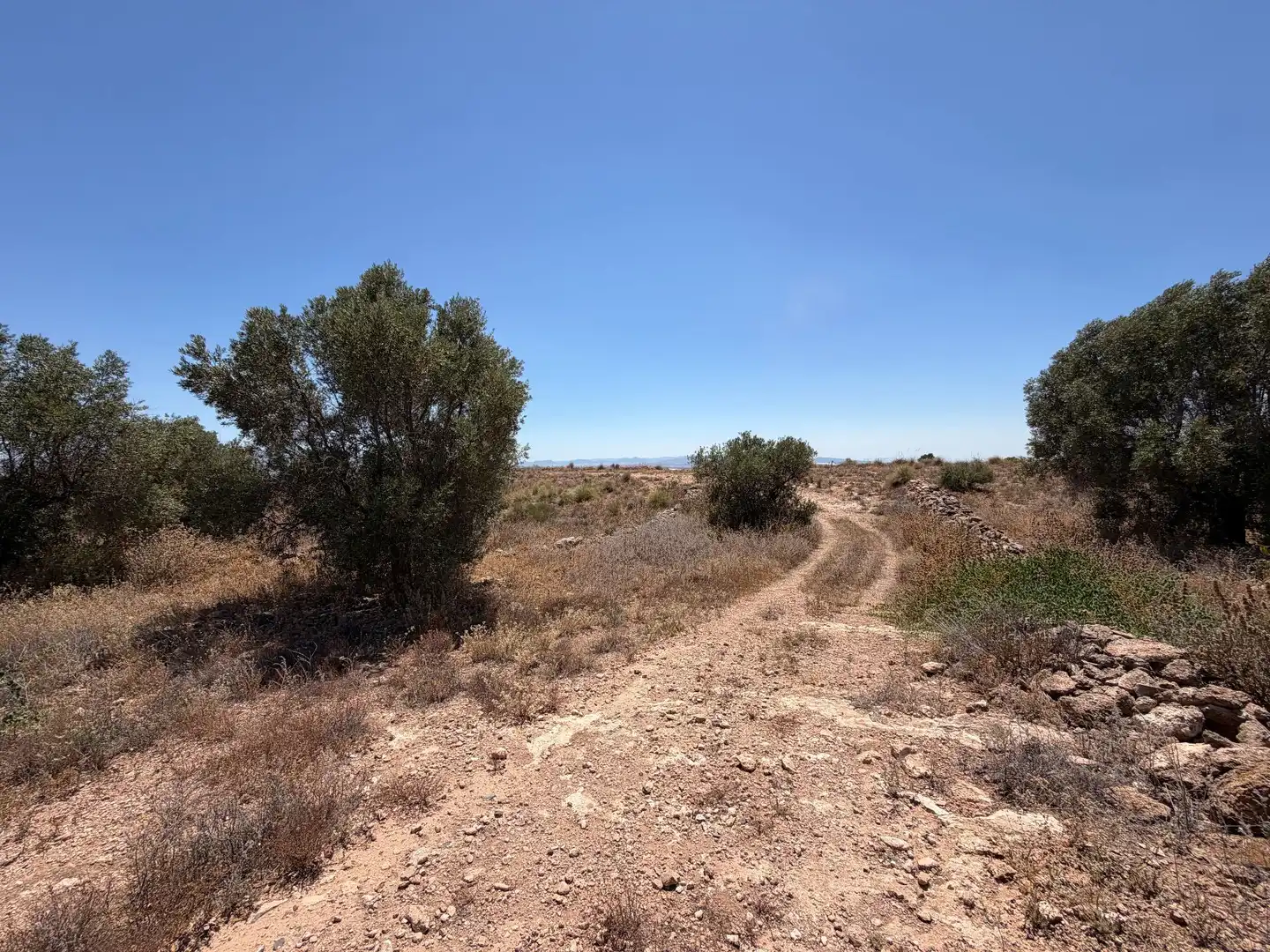 Terreno en venta en Alhama de Murcia