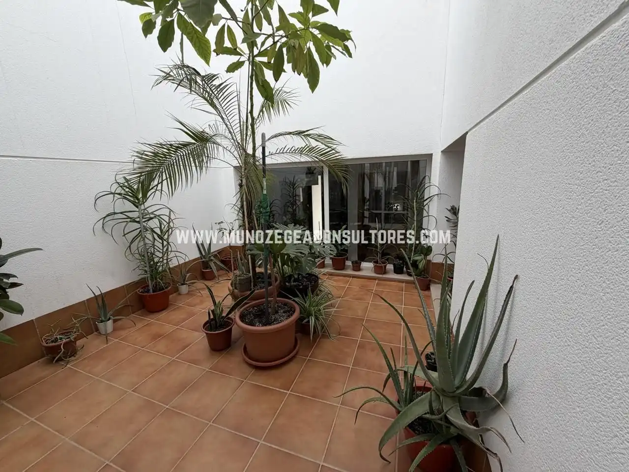 Jardí de Casa o xalet en venda en Lucena amb Aire condicionat, Terrassa i Traster