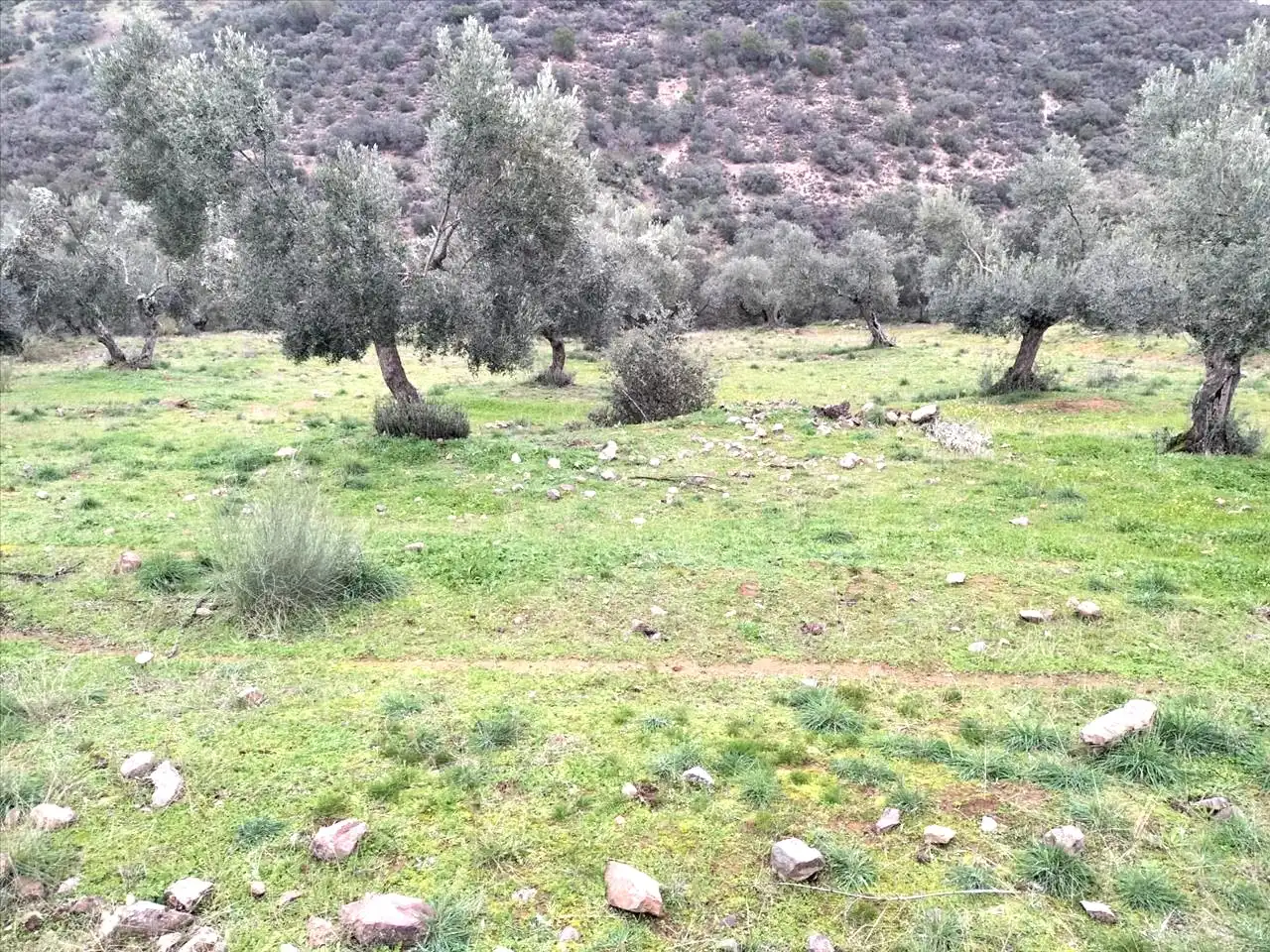 Terreni e lotti in vendita a Proc. Simplificado, imagen 6