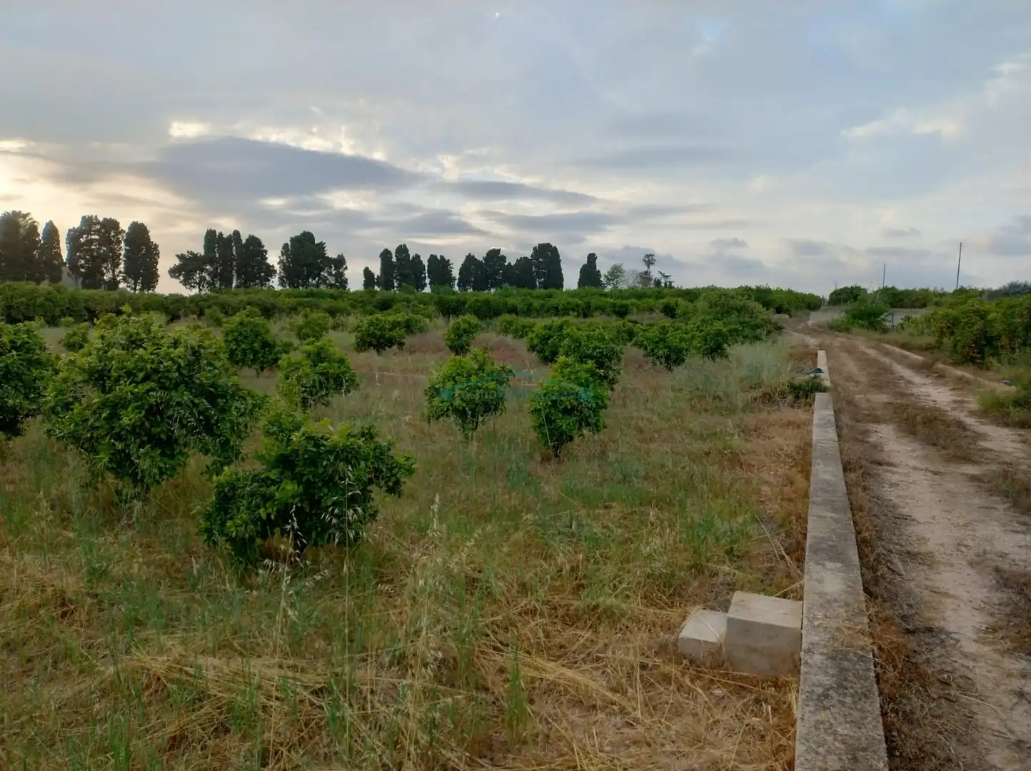 Terreno rustico in vendita a Plaza Numero, imagen 5